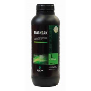 BLACKJAK